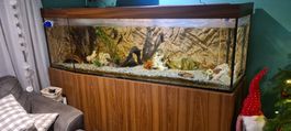 Aquarium für Wasserschildkröten