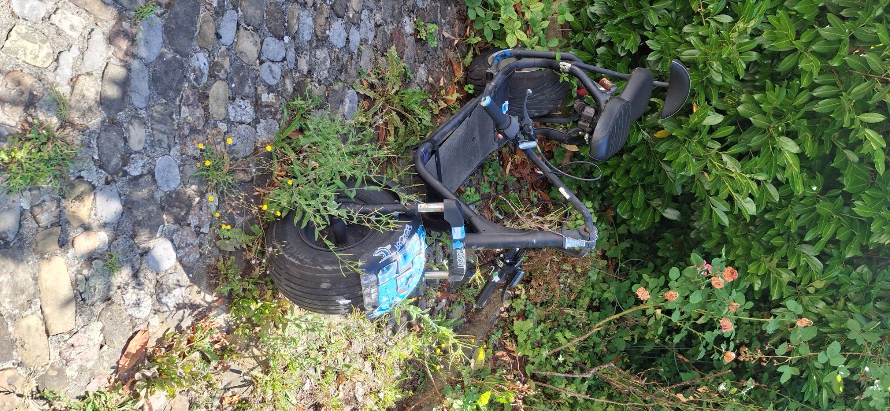 Citycoco Scooters: City Coco E Scooter – Defekt aus Kyburg von JBMNT2020 1