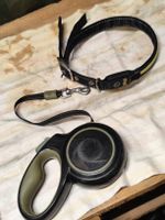 Hunde Rollleine Flexi schwarz mit Leuchthalsband