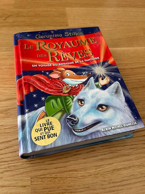 Libri: 12 Geronimo Stilton + 1 Geronimo Stilton Spécial – Usato da La Tour-de-Peilz venduto da serard 1