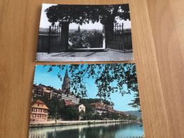 Bern  -  Münster   -  Rosengarten