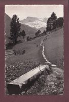 Bei Adelboden - WILDSTRUBEL - 1950