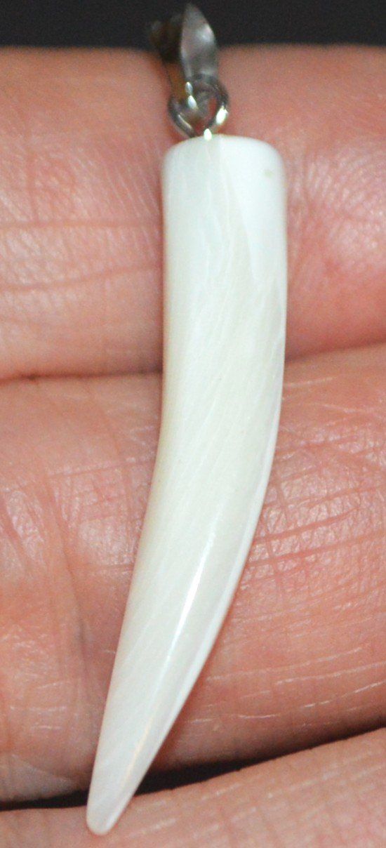 Ciondoli: Anhänger L-8310 – Perlmutter Zahn ca. 3cm – Nuovo e nell'imballaggio originale da Goldiwil (Thun) venduto da han_v5b7 1