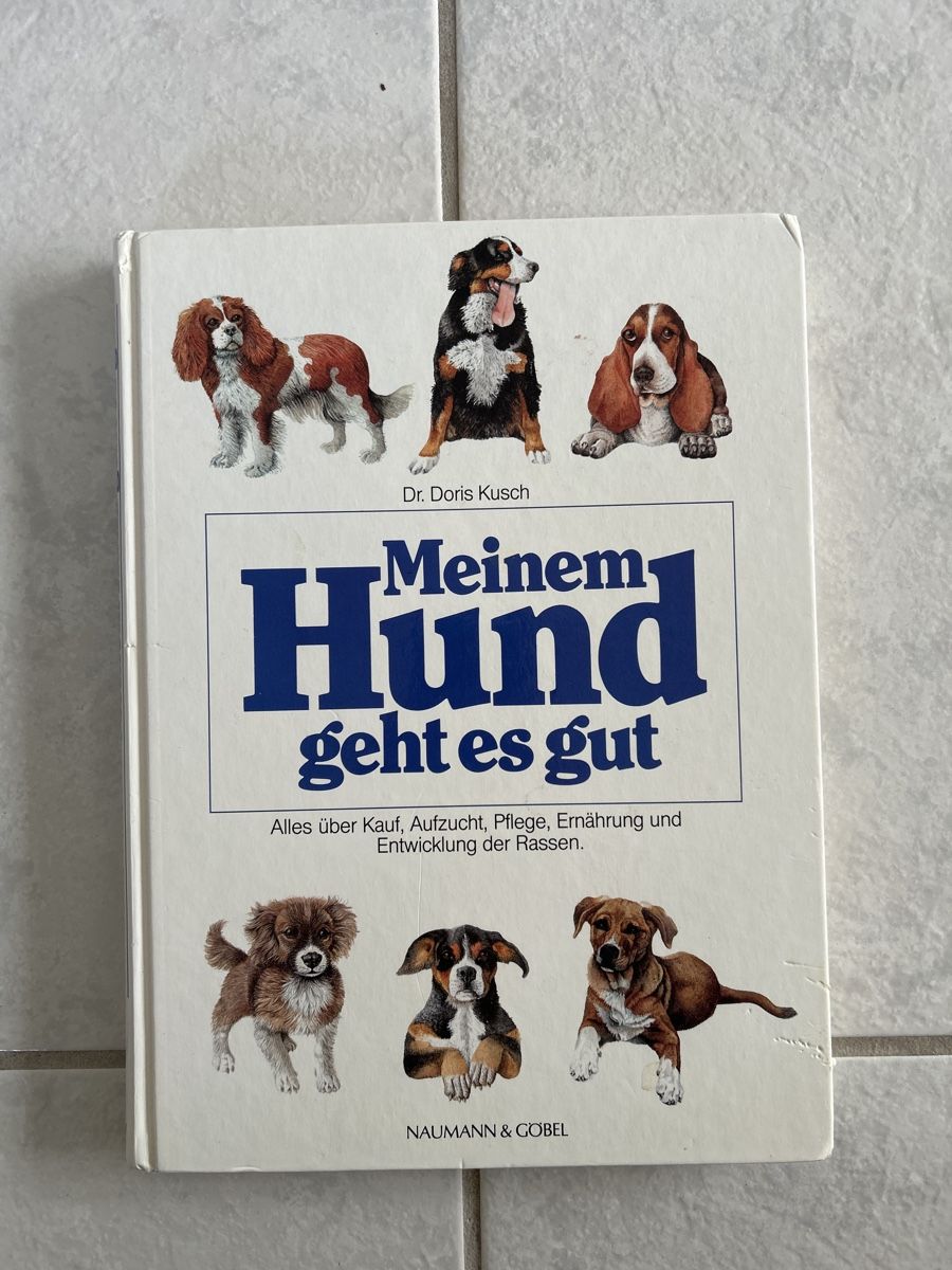 Libri: Buch Hund – Usato da Lostorf venduto da Venice16