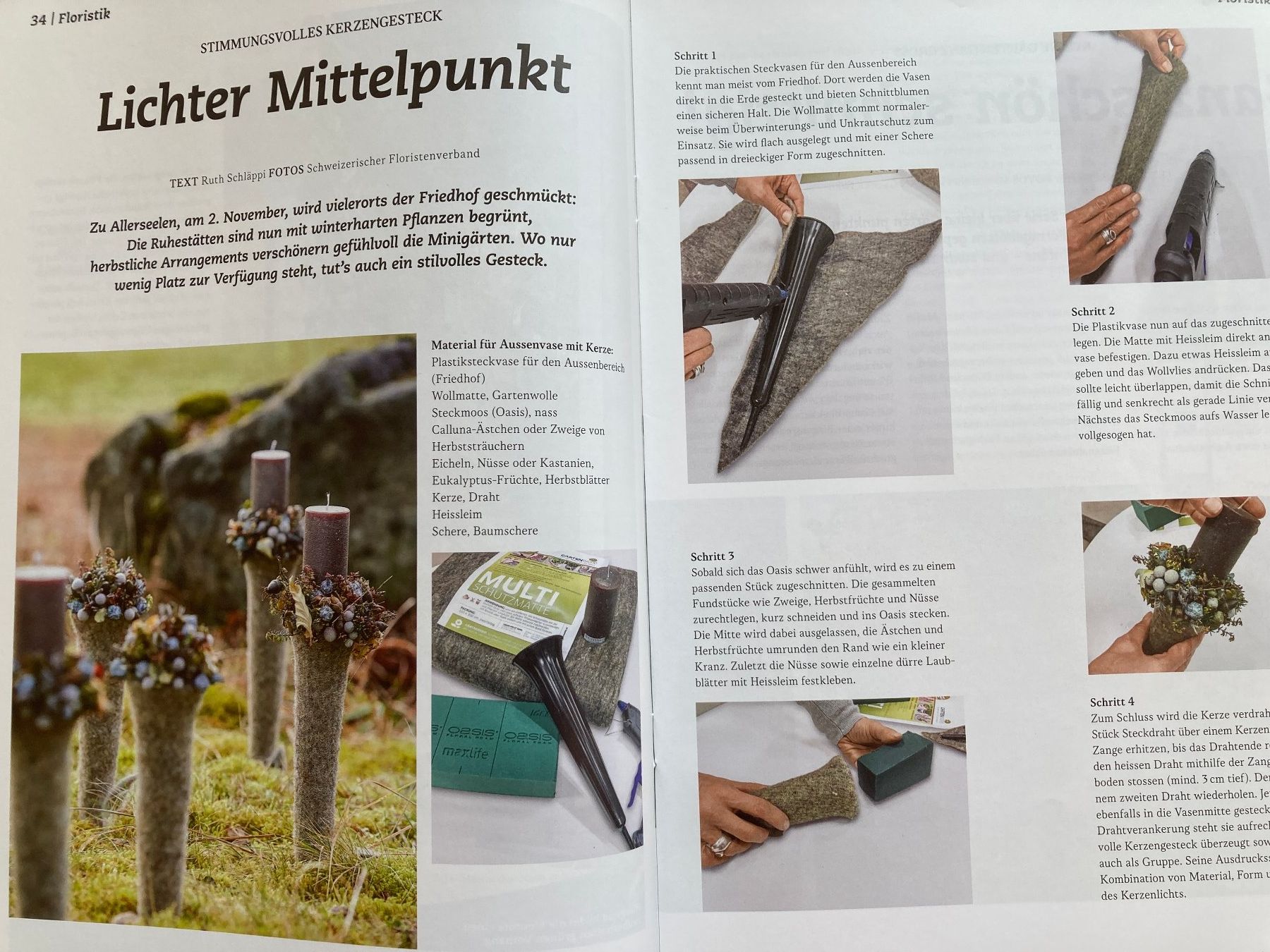 Riviste & Magazine: 17 Hefte Schweizer Garten, Jahr 2017 komplett – Usato da Lütisburg venduto da wiesenpippau 5