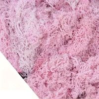 Natur-Moos rosa zu Deko-Zwecken 25g