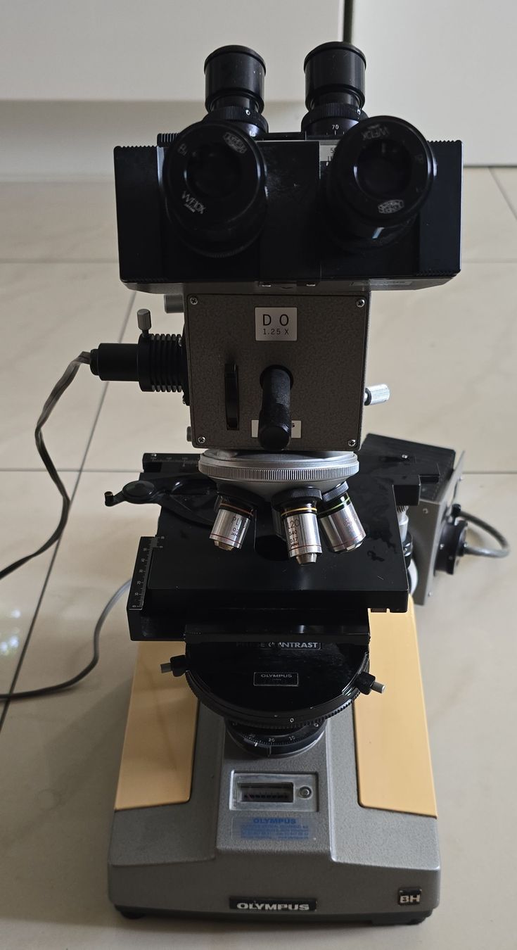 Olympus Microscopes: Olympus BH Profi-Mikroskop-Set mit Diskussionstubus – D'occasion à Rüti b. Büren par Skorpi789