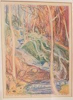 Werner Sommer „Bach am Abhang“ Farbstift signiert