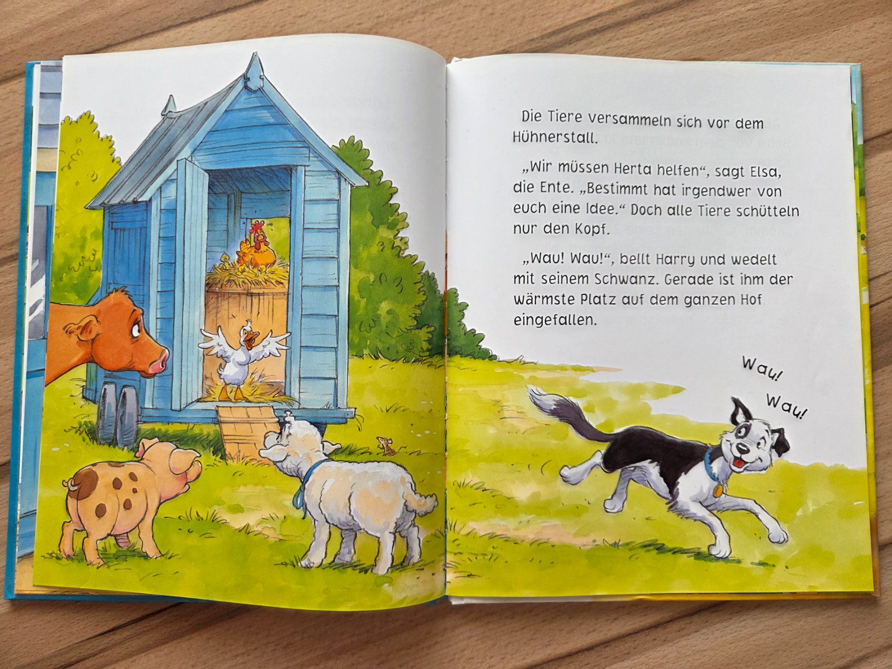 Livres: Das dreizehnte Ei – D'occasion à Grosswangen par sunny.stivi 5