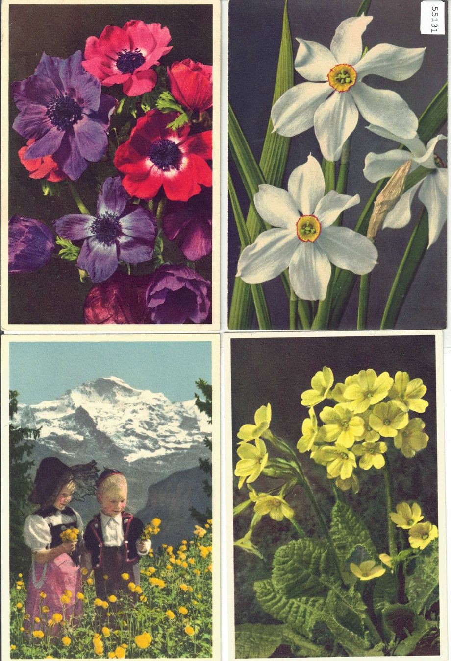 Cartoline postali: 4 AK - Blumen - Photo: E. Gyger – Usato da Ettingen venduto da Kartenplanet