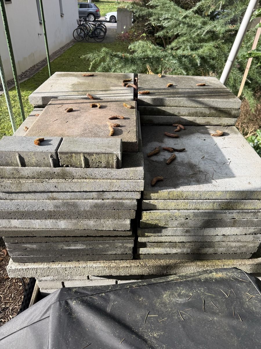 Rivestimenti per pavimenti: Betonplatten Gartenplatten – Usato da Zürich venduto da mlg12341234 1