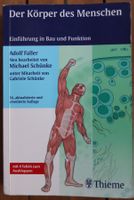 Der Körper des Menschen von Adolf Faller Taschenbuch