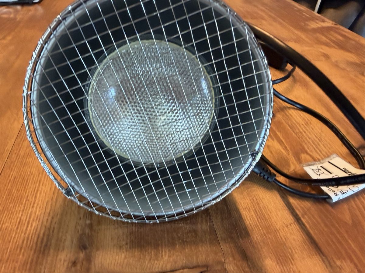 Terrario: Lampe für Terrarium – Nuovo (secondo la descrizione) da Bütschwil venduto da jon_jz72 1