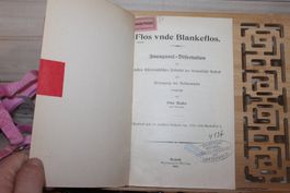 Flos unde Blankeflos - Dissertation