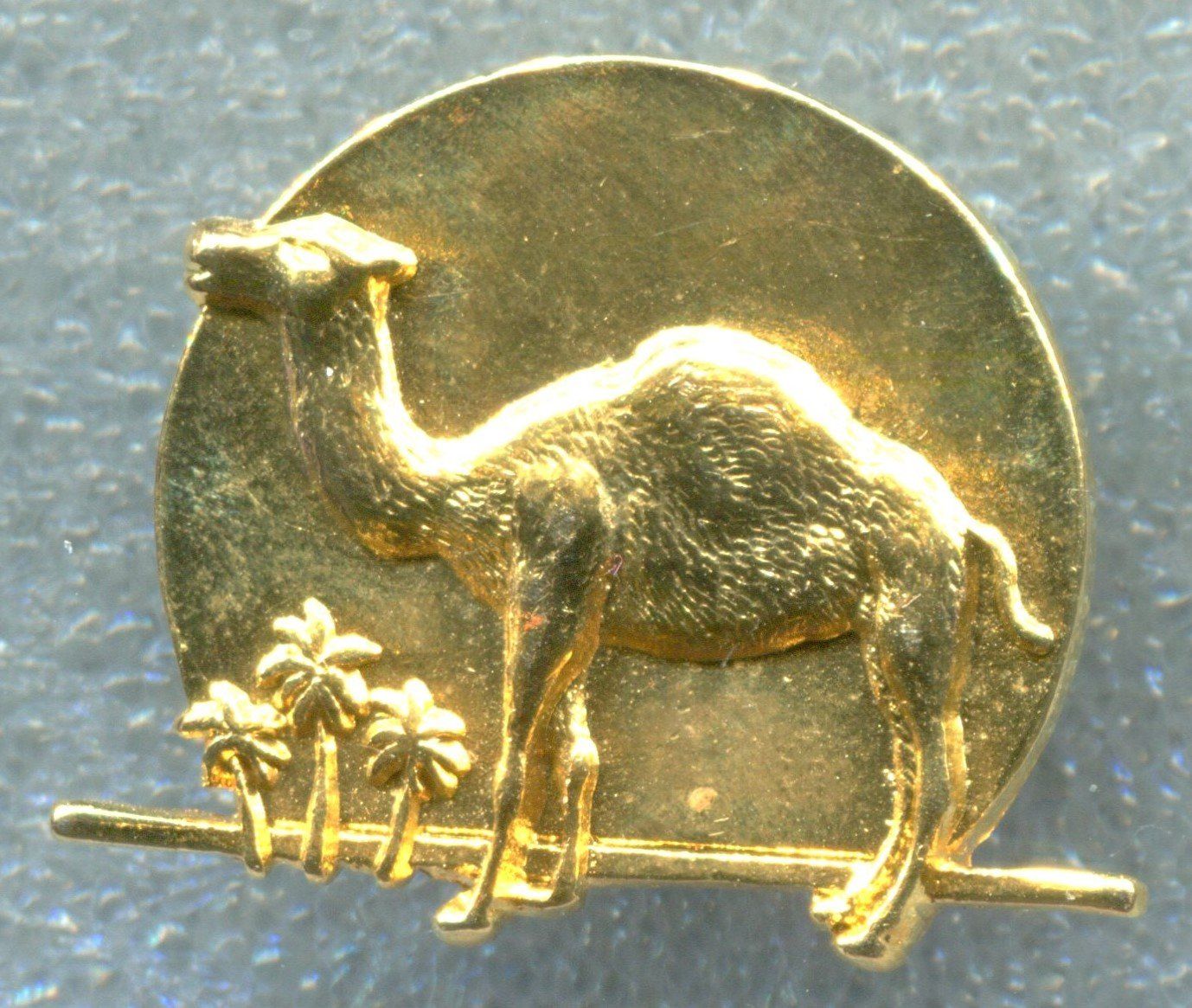 Camel Placchette & Badge: CAMEL  – Usato da Winterthur venduto da Sammleroase