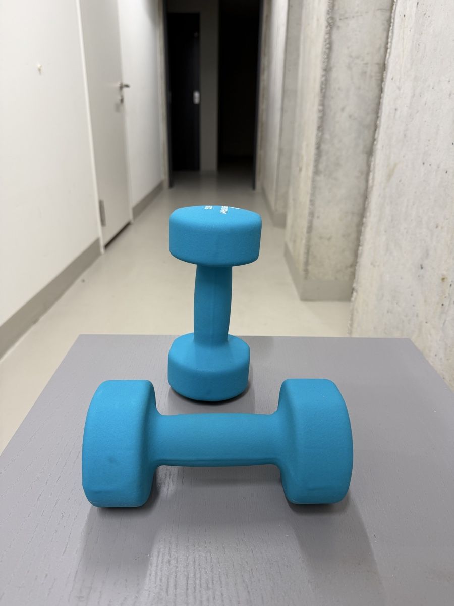 Manubri & Pesi: Perform Hantel 2x 5kg – Usato da Zürich venduto da con_mts2 2