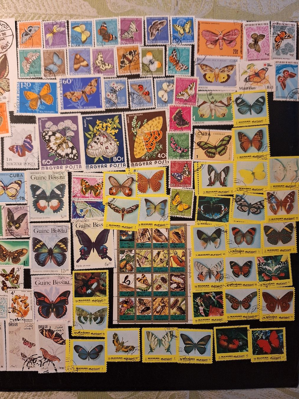Tutti i francobolli: Schmetterlinge Briefmarken: schöne grosse Sammlung – Usato da Genolier venduto da Antoine30 4