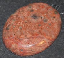 Cabochon L-8260 – Versteinertes Holz 22,5x18mm