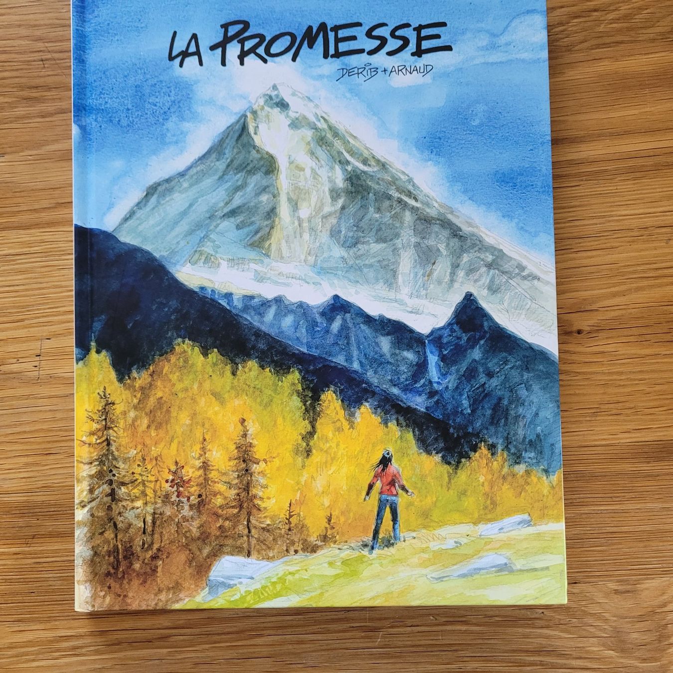 Fumetti: BD La Promesse Derib & Arnaud – Usato da Biel/Bienne venduto da Destockweb