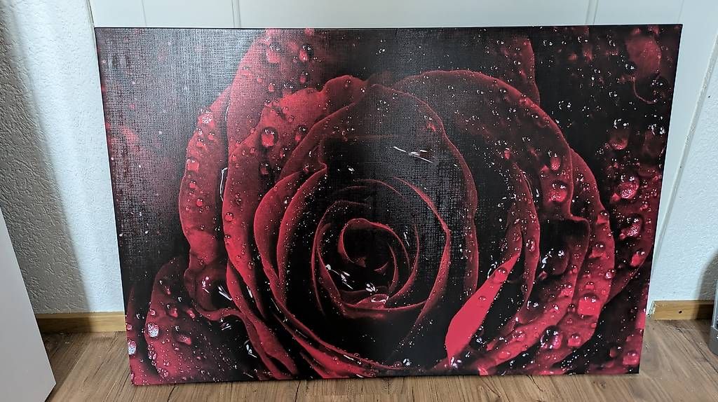 Foto & Immagini: Wandbild Rose – Usato da Breitenbach venduto da ani_tc2l