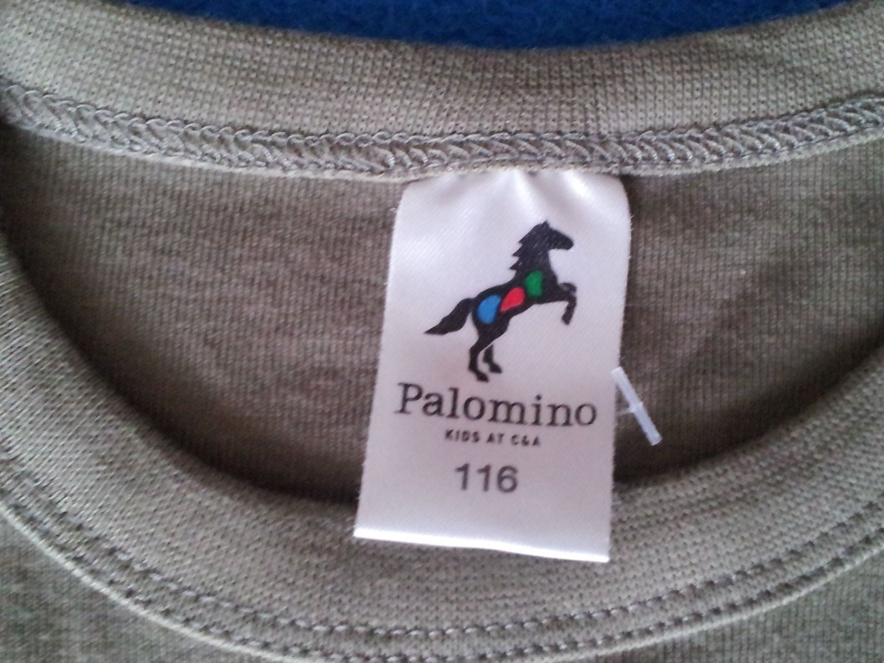 Camicie, T-shirt & Polo: T-shirt Kind kurzarm Gr. 116 – Nuovo (secondo la descrizione) da Zürich venduto da cyma02 1