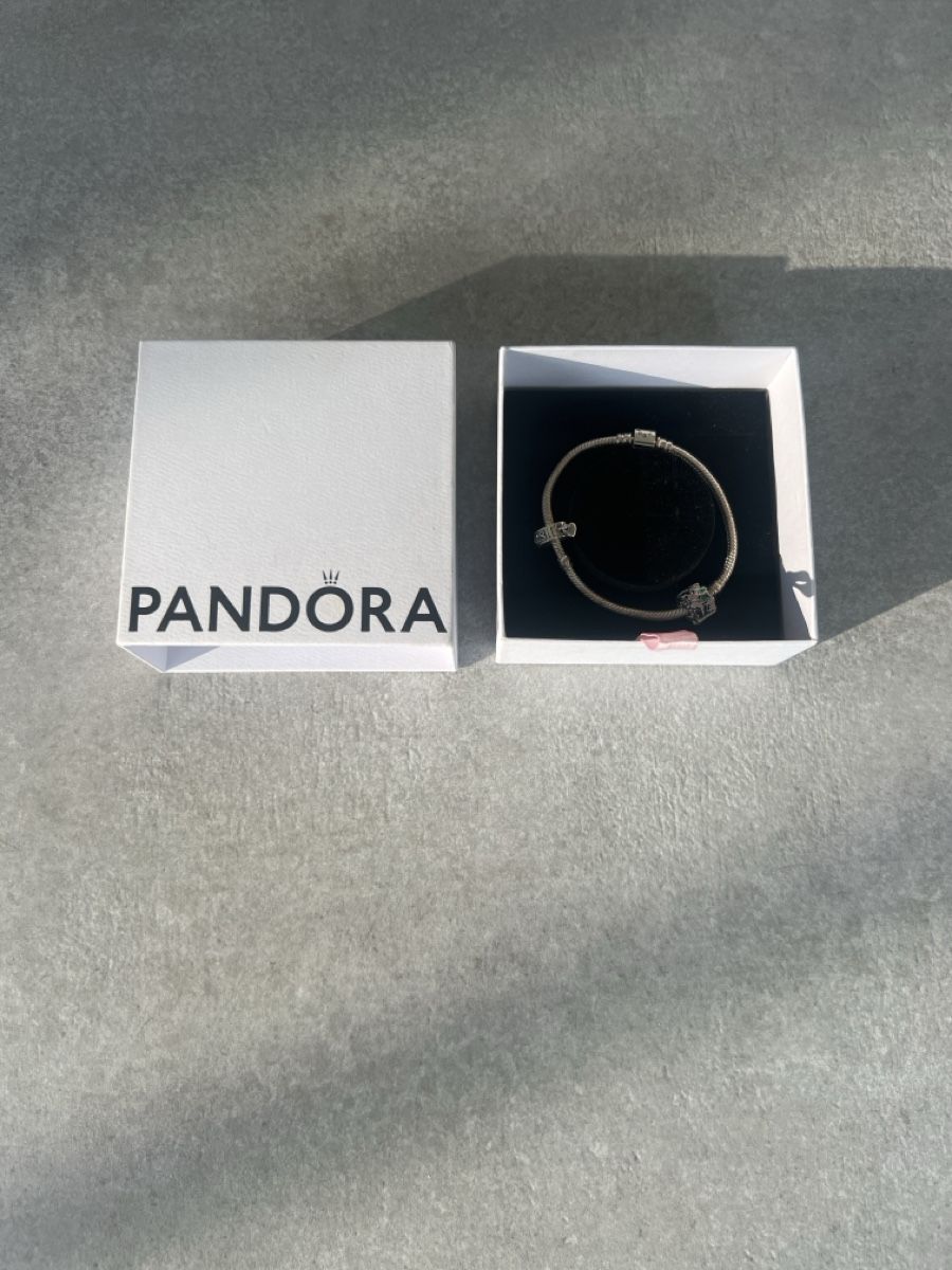 Pandora Bracciali & Braccialetti: Pandora Armband mit 2 Anhängern – Usato da Bottmingen venduto da ale3829
