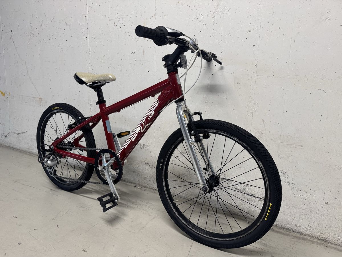 MTB Cycletech Vélos: Cycle tech 20 Zoll  – D'occasion à Widnau par Barbaros82 2