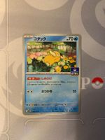 Enton (SV-P 262) GYM PROMO Pokemon Karte (1)