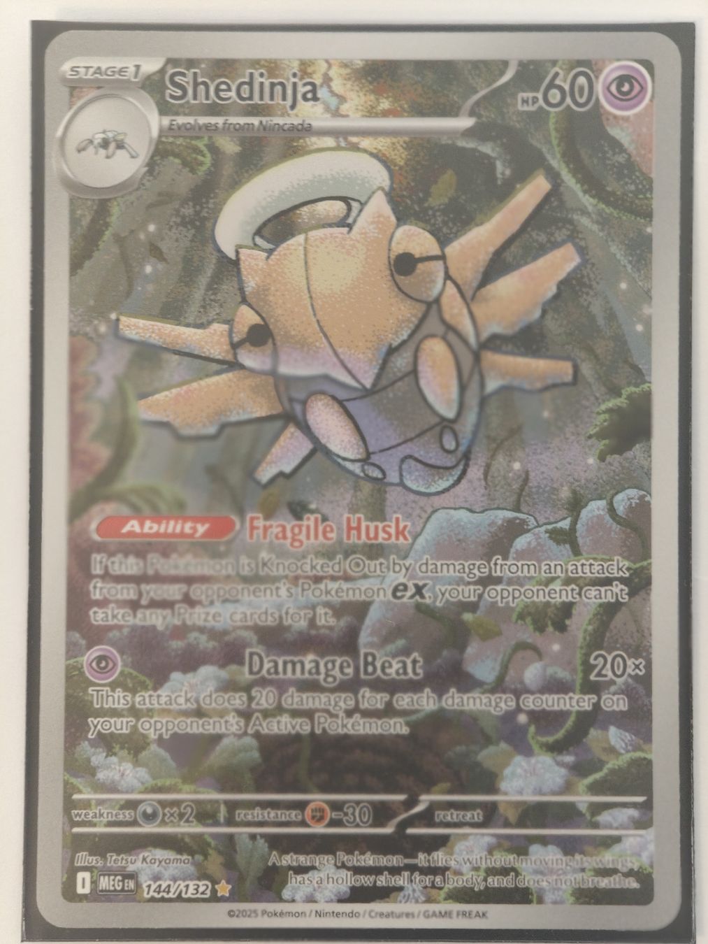 Pokémon Carte collezionabili: Shedinja144/132 EN – Nuovo (secondo la descrizione) da Therwil venduto da Cordachu_Trade