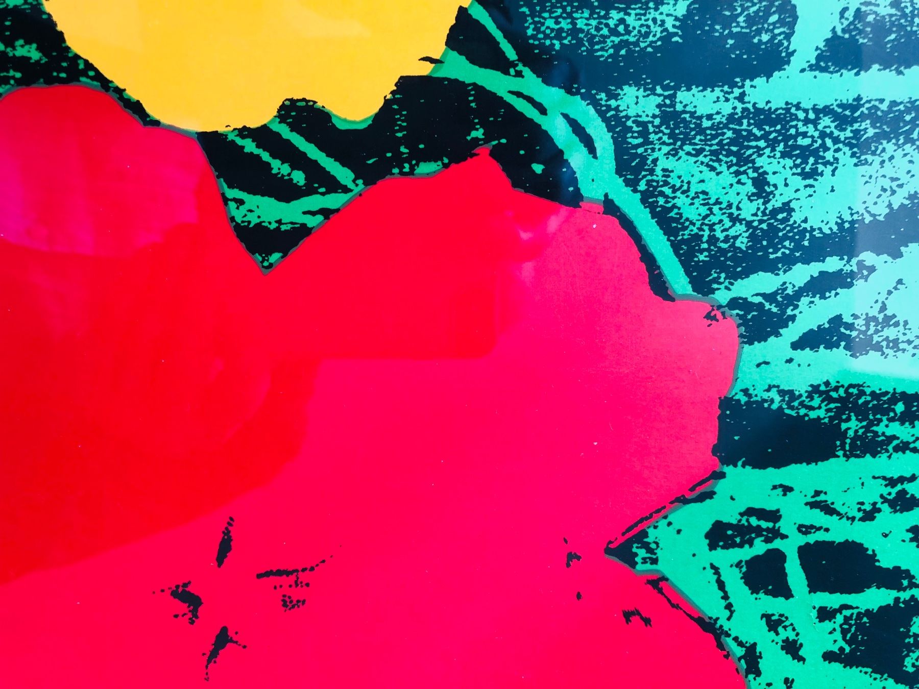 Grafica & Litografie: ANDY WARHOL "Flowers" orig. Serigraphie,  Castelli Copyright – Nuovo (secondo la descrizione) da Luzern venduto da dichsel 3