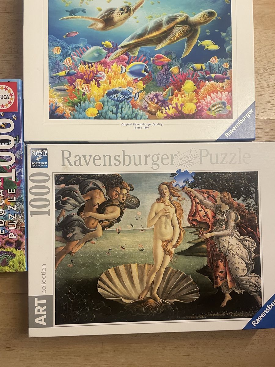 Ravensburger Puzzles: Puzzles Ravensburger & Educa 1000 pièces, comme neuf! 48 – Neu (gemäss Beschreibung) aus Crissier von Nouchki76 3