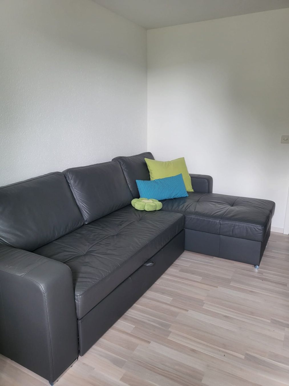 Divani: Ledersofa (Bettsofa) – Usato da Niederhasli venduto da Webernie