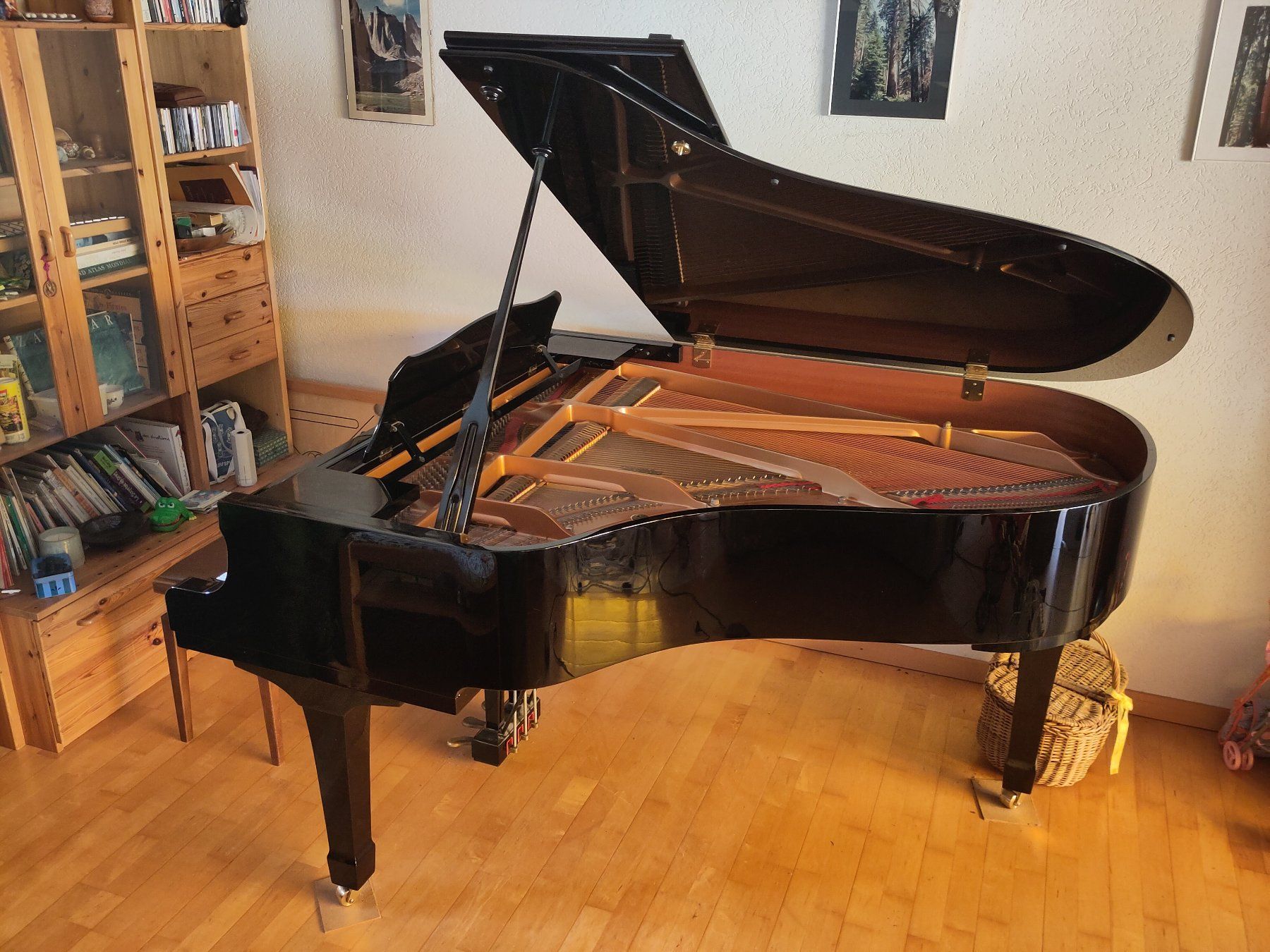 Yamaha Strumenti musicali: Piano à queue Yamaha C3 – Usato da Versoix venduto da Mravel 2