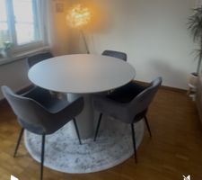 4 Esszimmerstühle