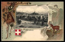 Präge-AK Burgdorf, Ortsansicht, Passepartout mit Gämse, Wapp