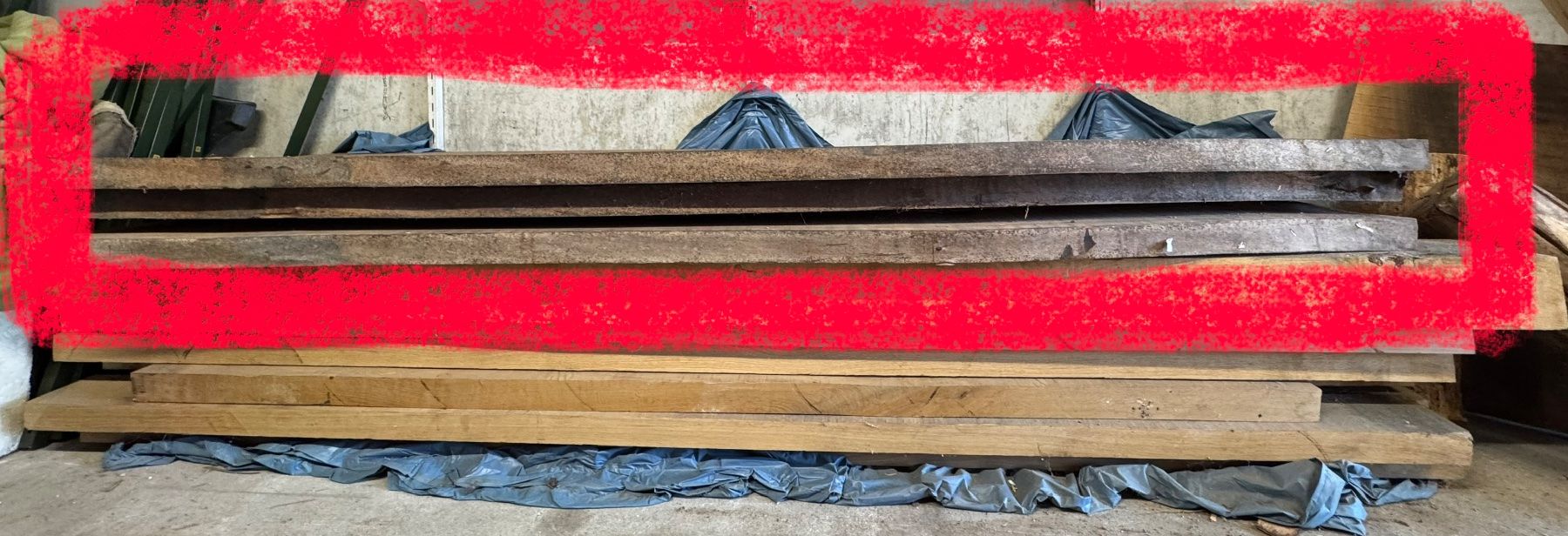 Articles en bois: 3 massive Nussbaum-Bohlen 265 cm – Neuf (Voir description) à Kestenholz par cvx_889vv 3