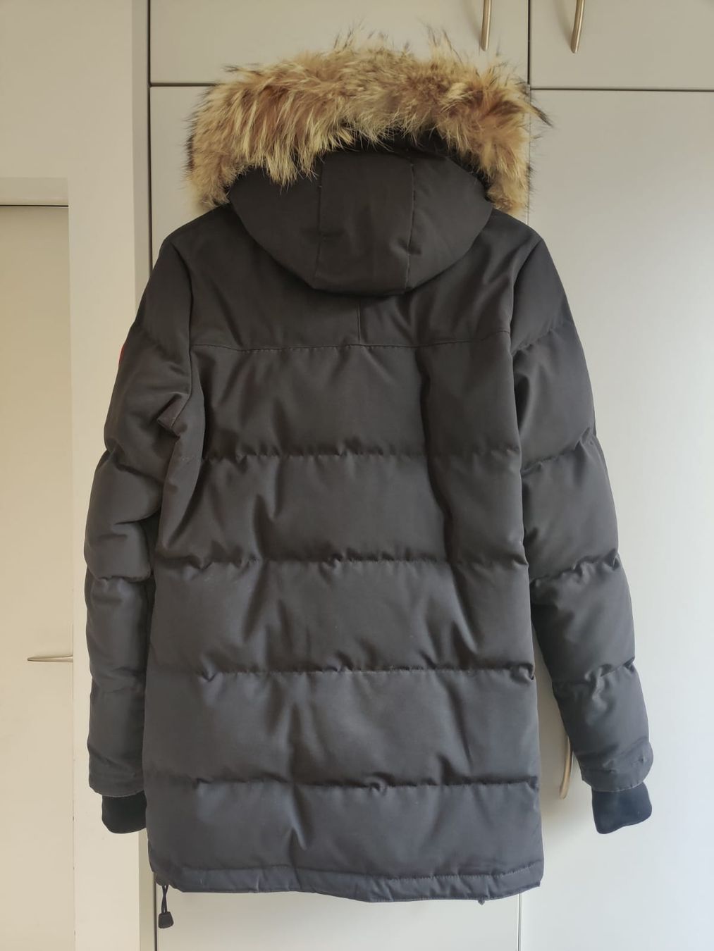 Canada Goose Jacken: Canada Goose Winterjacke Damen – Gebraucht aus Düdingen von Boongo 1