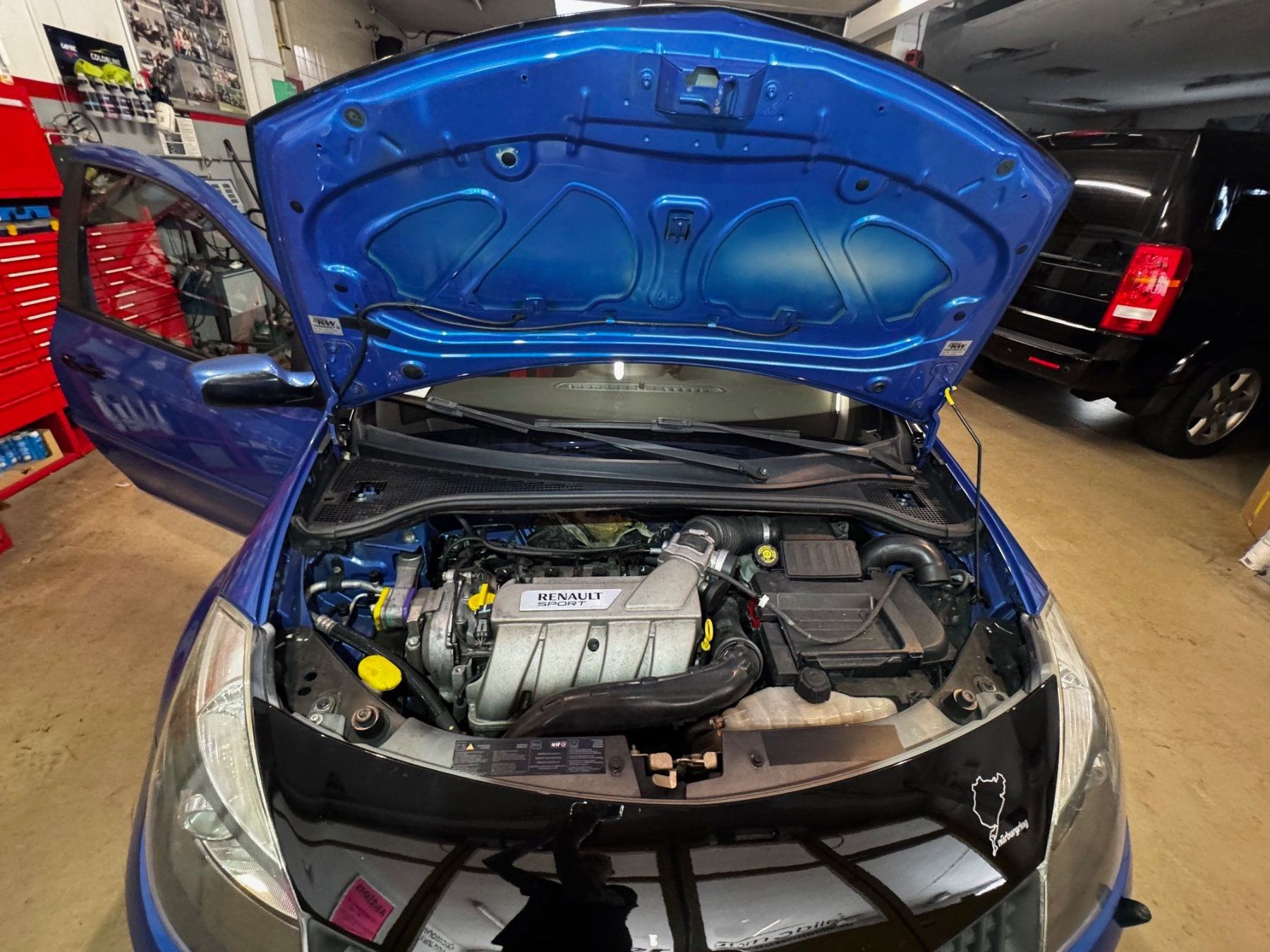 Renault Automobili: Renault Clio3 RS Spezial Tracktool – Usato da Basel venduto da Bonovox01 3