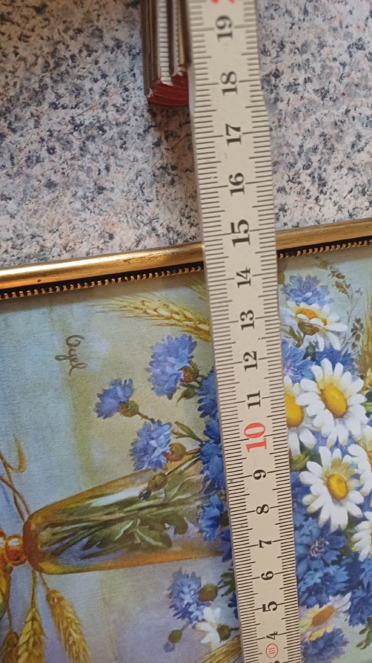 Foto & Immagini: 2 Schöne Blumenbilder – Usato da Flawil venduto da Pinkmalibu 5