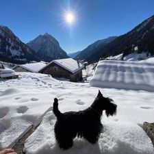 Profile image of karinmeyer01