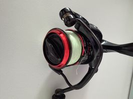Okuma Rolle Ceymar XT CXT-25FD | 5.0:1 |