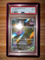 Premium Slab Guard für PSA Graded Cards / Viele Farben / OVP