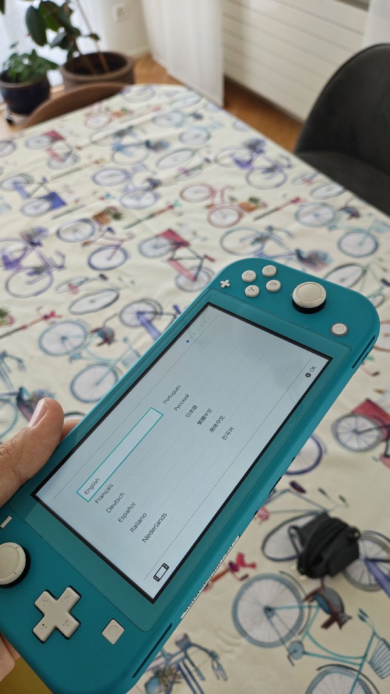 Nintendo Console: Nintendo Switch Lite+Lader+Plastic Cover – Usato da Montagnola venduto da mattbert86 1