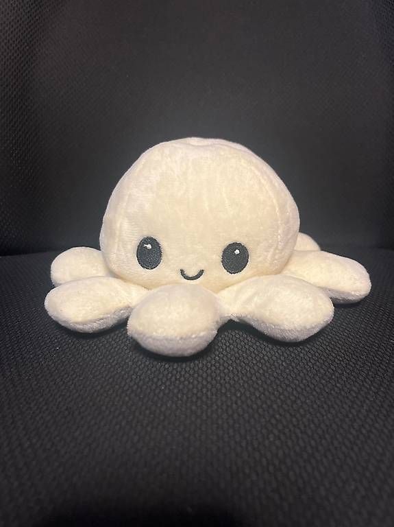 Libri: Oktopus mit 2 Seiten Glücklich/Traurig – Usato da Siggenthal Station venduto da lol_58gl