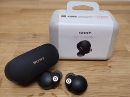 Sony WF-1000XM4