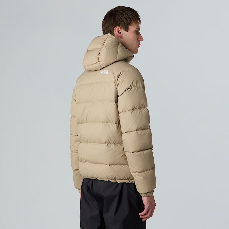 North Face Jacken: The North face Daunenjacke – Neu (gemäss Beschreibung) aus Goldswil von julia_hafner 5