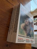 art Das Kunstmagazin Konvolut