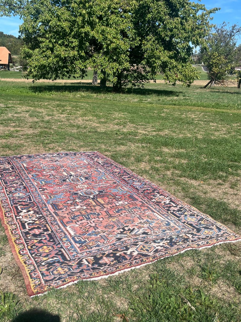 Tappeti: Orient Teppich Handgeknüpft – Usato da Allmendingen b. BE venduto da juair 1