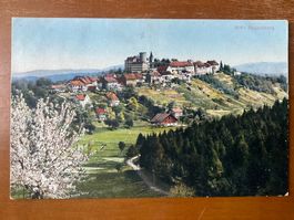 AK Regensberg 1923, gelaufen nach Uster