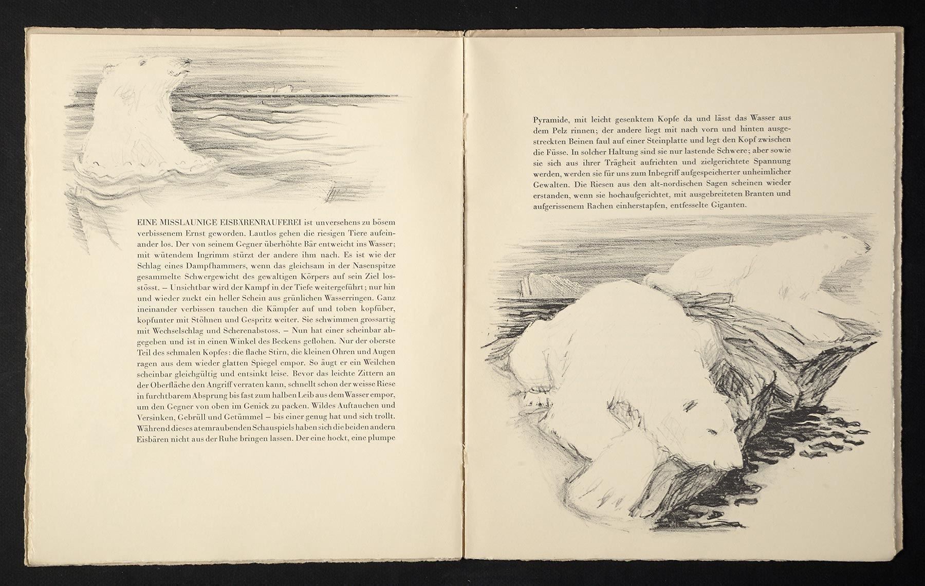 Libri: Bibliophil: Tiere hinter Gittern von Fred Stauffer, num. – Usato da Bern venduto da chamunda